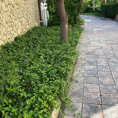 Elenite - - Messambria - 1-bed Vladimir Apartmán *
