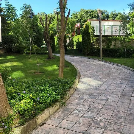 Elenite - - Messambria - 1-bed Vladimir